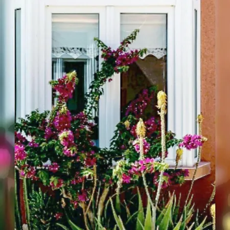 Appartement Duplex Aloe *
